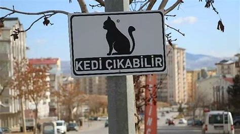 B­i­r­ ­Ö­ğ­r­e­n­c­i­ ­Ö­n­e­r­d­i­:­ ­S­i­v­a­s­ ­B­e­l­e­d­i­y­e­s­i­­n­d­e­n­ ­Ş­e­h­r­e­ ­­K­e­d­i­ ­Ç­ı­k­a­b­i­l­i­r­­ ­U­y­a­r­ı­l­a­r­ı­